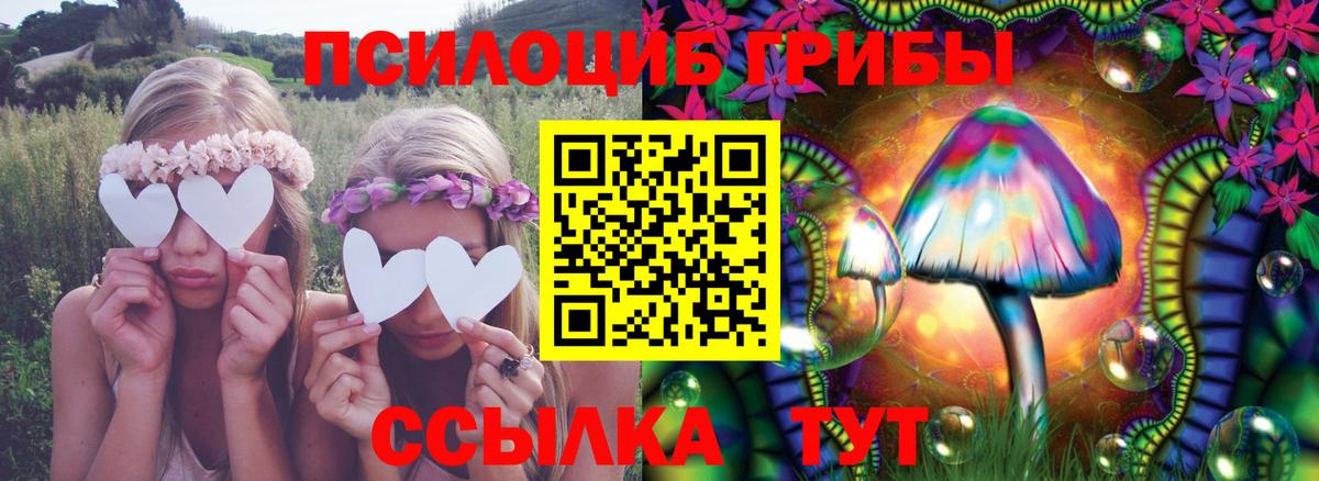 Тамбов  Галлюциногенные грибы Cubensis  Псилоцибиновые грибы прущие грибы  Вход с VPN 